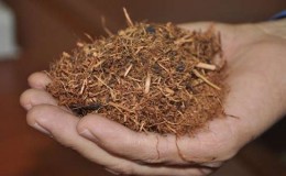 Çay Atıklarından Üretilen Enerji Projesi Türkiye İkincisi Oldu