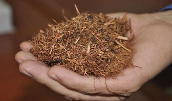 Çay Atıklarından Üretilen Enerji Projesi Türkiye İkincisi Oldu