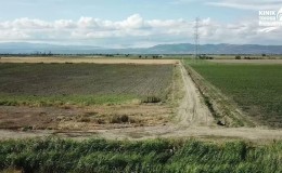 Kınık OSB Dünyada Bir İlki Gerçekleştiriyor: Tıbbi ve Aromatik Bitki Üretim Üssü Kuruluyor