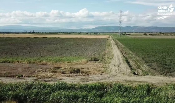 Kınık OSB Dünyada Bir İlki Gerçekleştiriyor: Tıbbi ve Aromatik Bitki Üretim Üssü Kuruluyor