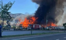 Kocaeli’de palet fabrikasında yangın paniği!