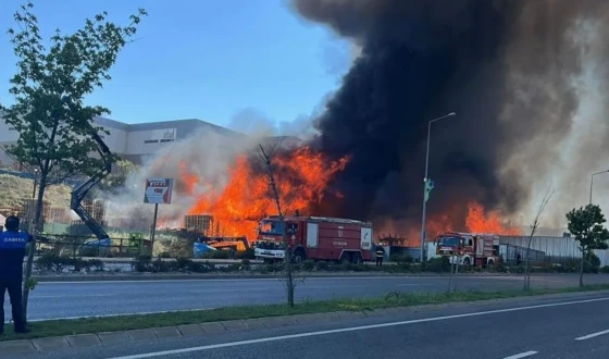 Kocaeli’de palet fabrikasında yangın paniği!