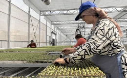 Sera OSB’den Ekonomiye 750 Milyon Liralık Katkı