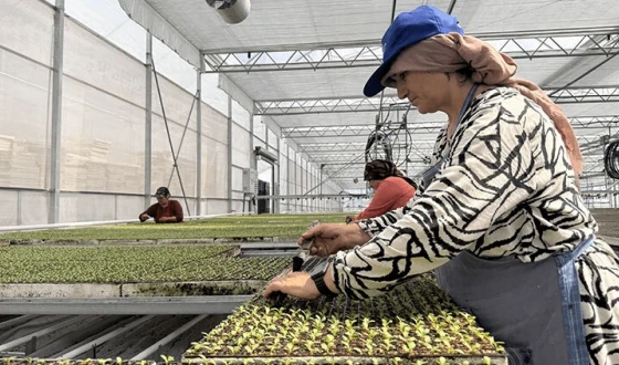 Sera OSB’den Ekonomiye 750 Milyon Liralık Katkı