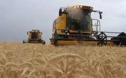 Türkiye, 2025-2028 Dönemi İçin FAO Konsey Üyeliğine Seçildi