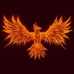 muhammed mücahit suyabatmaz