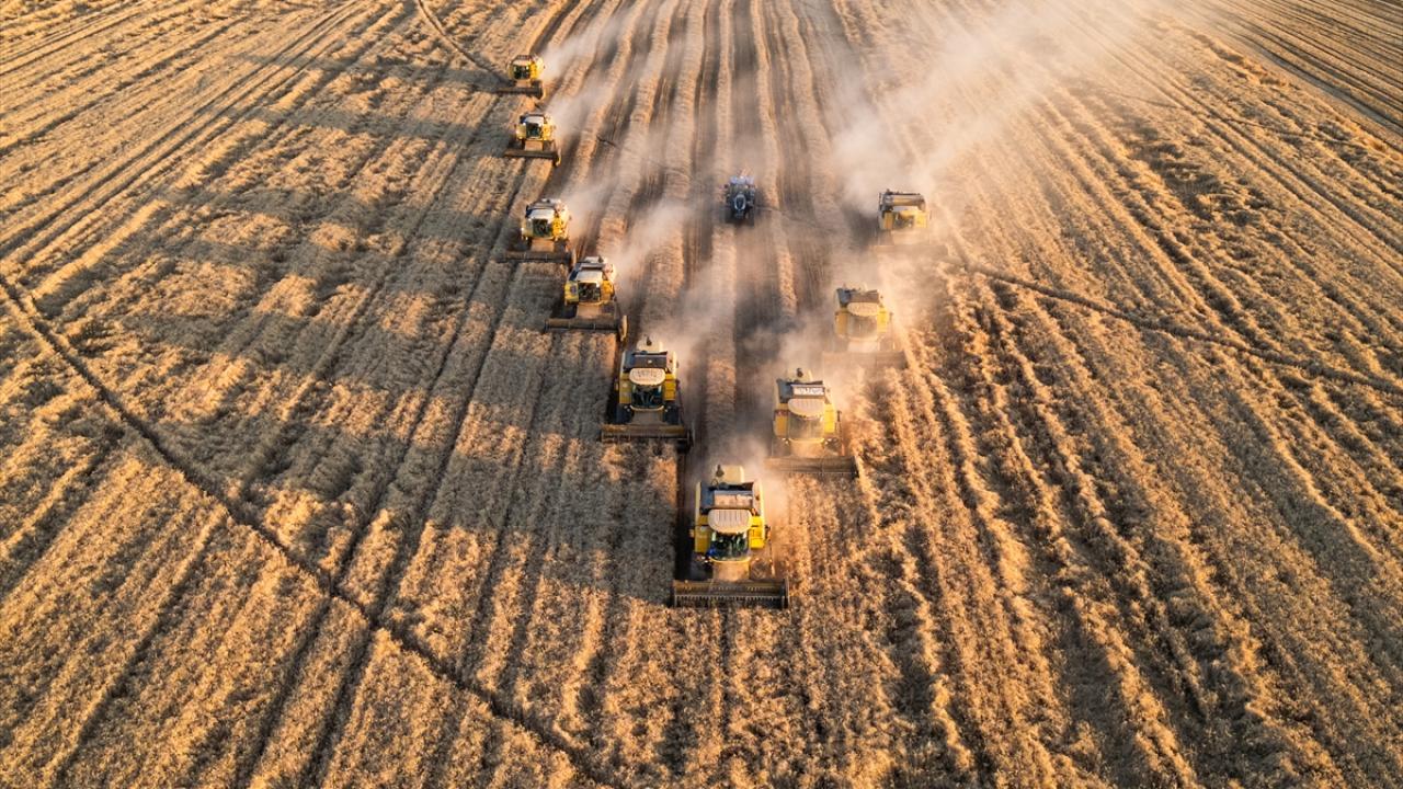 Tarım ÜFE Artışı